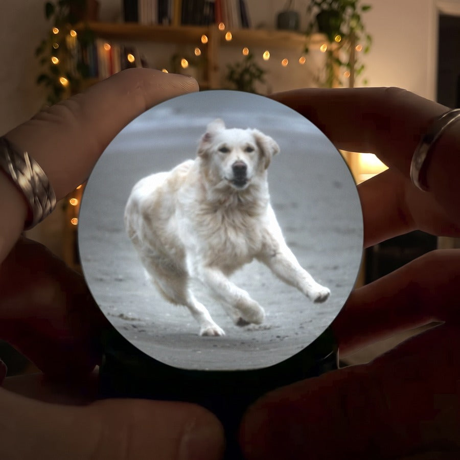 Dos manos sostienen la esfera Orbalma con un perro corriendo por la playa